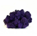 Ægte lilla rensdyrmos med fluffy, tekstureret udseende mod en neutral baggrund.