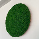 OEKOBOARD Premium - Skovgrøn mos cirkel