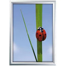 Sølvfarvet klikramme med 25mm profil, viser en marihøne på et græsstrå mod blå baggrund.