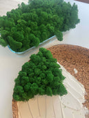 Lav selv moscirkel m/kant