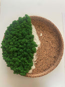 Lav selv moscirkel m/kant