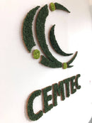 OEKOBOARD - Udskåret logo i mos