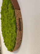 OEKOBOARD Premium - Lys mos cirkel MED kant og læderrem