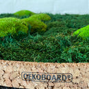 Fladmos og pudemos cirkel. 