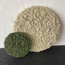 Neutral mos cirkel kombineret med en mindre mørkegrøn cirkel.