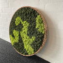 OEKOBOARD mos cirkel med blandet mos.