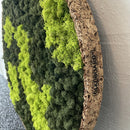 OEKOBOARD mos cirkel med blandet mos og kork kant.