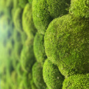 OEKOBOARD - Pudemos mix firkantet m/kork kant