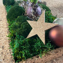 Flot julestjerne i kork til dekoration eller andet julepynt.