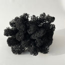 Sort, busket rensdyrmos med naturlig grenstruktur, velegnet til dekoration eller håndværk.