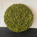 OEKOBOARD Premium - Medium grøn mos cirkel med brændt kork