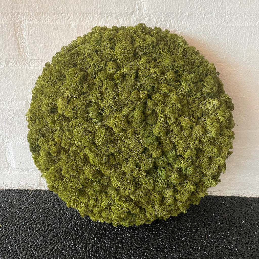OEKOBOARD Premium - Medium grøn mos cirkel