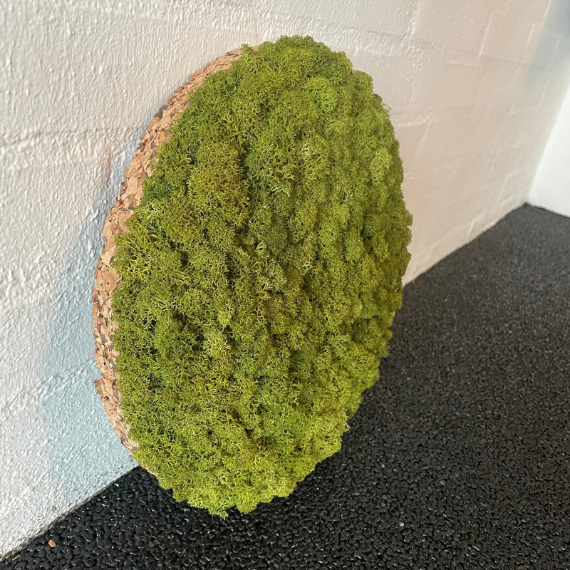 OEKOBOARD - Medium grøn mos cirkel