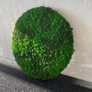 OEKOBOARD Premium - Blandet mos cirkel