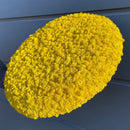 OEKOBOARD Premium - Halo mos cirkel