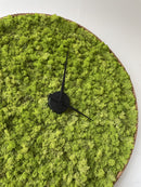 OEKOBOARD Premium - Lys mos cirkel MED kork kant + ur