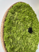 OEKOBOARD Premium - Lys mos cirkel MED kork kant + ur