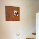 3 cm. tyk sandslebet + rustik korkplade - Kork opslagstavle 50×50 cm.