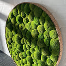 Mospude cirkel med lys grøn mospuder, indrammet af en korkkant.