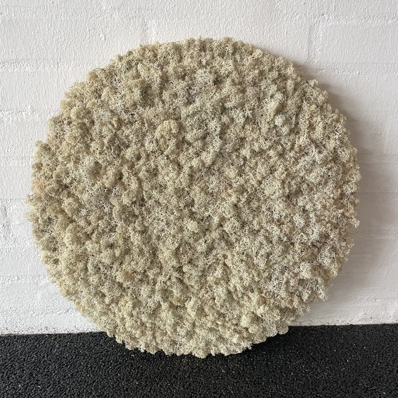 Neutral mos cirkel med ægte norsk mos.