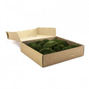 Åben papkasse med naturlig grøn mos i forskellige størrelser, tæt pakket sammen.