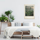 Vintage Auriculas 50x70