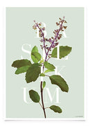 Basilikum A3 - Basilikum A3 - Martin Moore