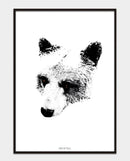 Bear Eyes A3 - Bear Eyes A3 - Fredstegn