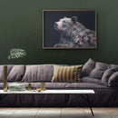 Flower Portraits Bjørn A3