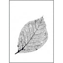 Blad A5 - Blad A5 - Home Junkie