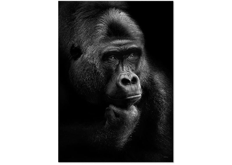 Gorilla Thoughts A3