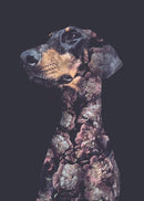 Flower Portraits Doberman A3
