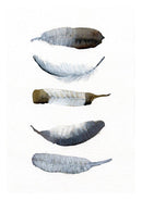 Fem gråbrune fjer 30x40