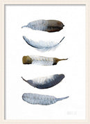 Fem gråbrune fjer 30x40