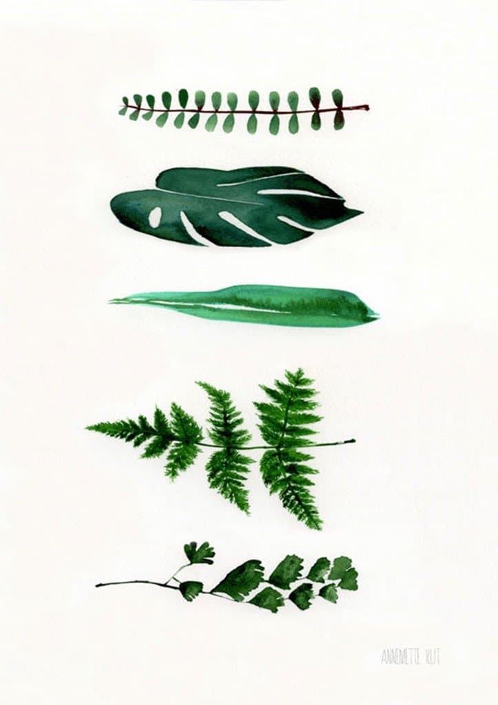 Fem grønne blade 30x40