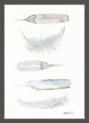 Fem hvide fjer 30x40