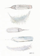 Fem hvide fjer 30x40