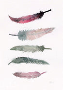 Fem røde fjer 30x40