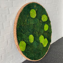 Fladmos og lys grøn pudemos cirkel med kork kant. 
