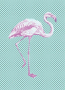 Flamingo A5