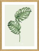 Heaven on 3rd Monstera 30x40