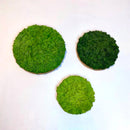 OEKOBOARD Premium - Små mos cirkler