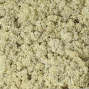 Lysegrøn rensdyrmos med ujævn tekstur og små brune partikler.