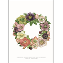 A3 kunsttryk med julekrans af juleroser i bløde farver på hvid baggrund.