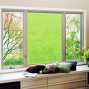 Transparent folie - 063 lime-tree green - Signcom