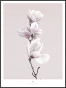 Plakat med magnoliagren, tre blomster, lyserød baggrund, hvid kant og "Secret Garden" logo.