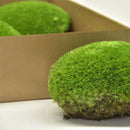 Ægte pudemos i lys grøn. 