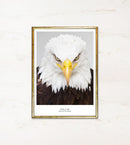 Nærbillede af ørn med gul næb, tekst "Fly like an eagle", ramme kan ikke bestemmes.