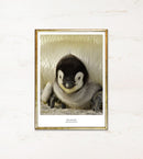 Unge pingvin under voksen, tekst "Safe and Sound" og "National Animal of Antarctica" nederst.