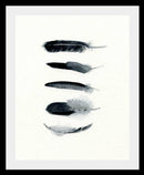 Fem mørkegrå fjer A5